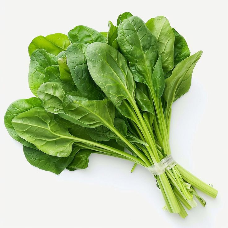 Pat Shak (Jute Spinach)