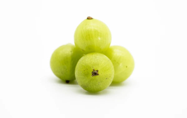 Amloki (Amla) ± 12 gm