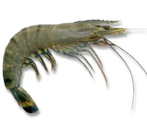 Bagda Chingri (বাগদা চিংড়ি)