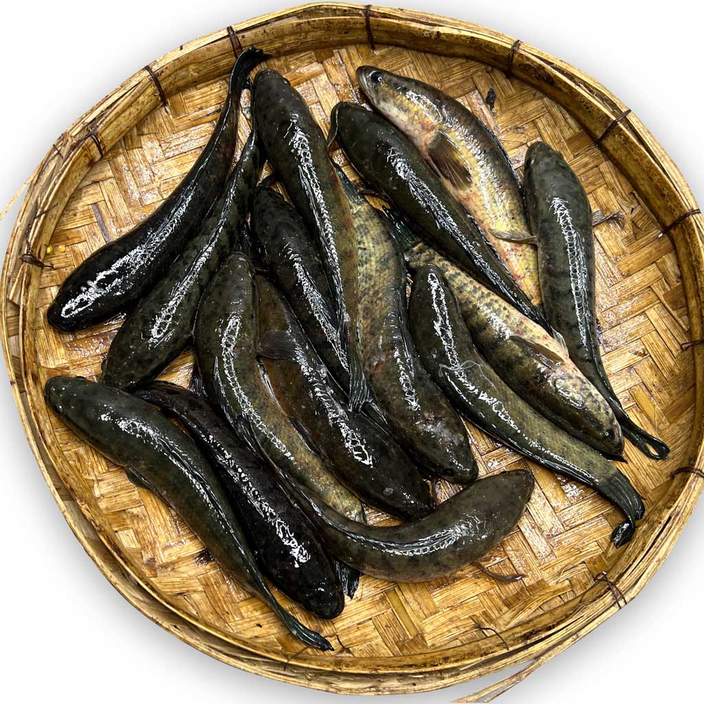 Biler Deshi Taki Mach Mixed (বিলের দেশি টাকি মাছ মিক্সড)