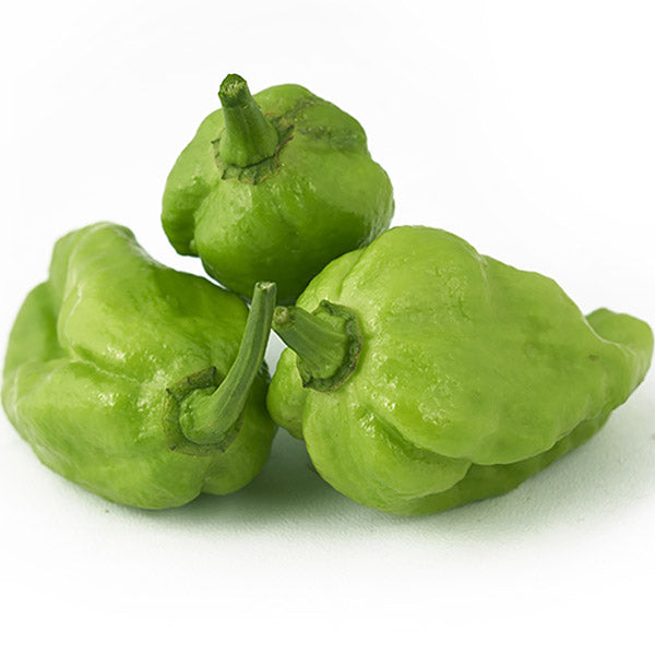 Bombay Chilli