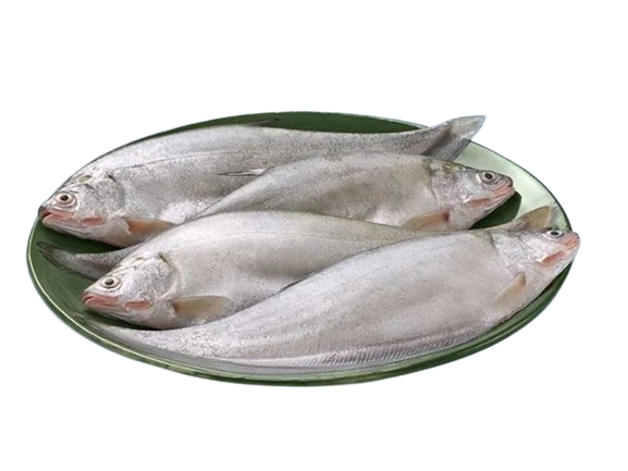 Deshi Pholi Mach (দেশী ফলি মাছ)