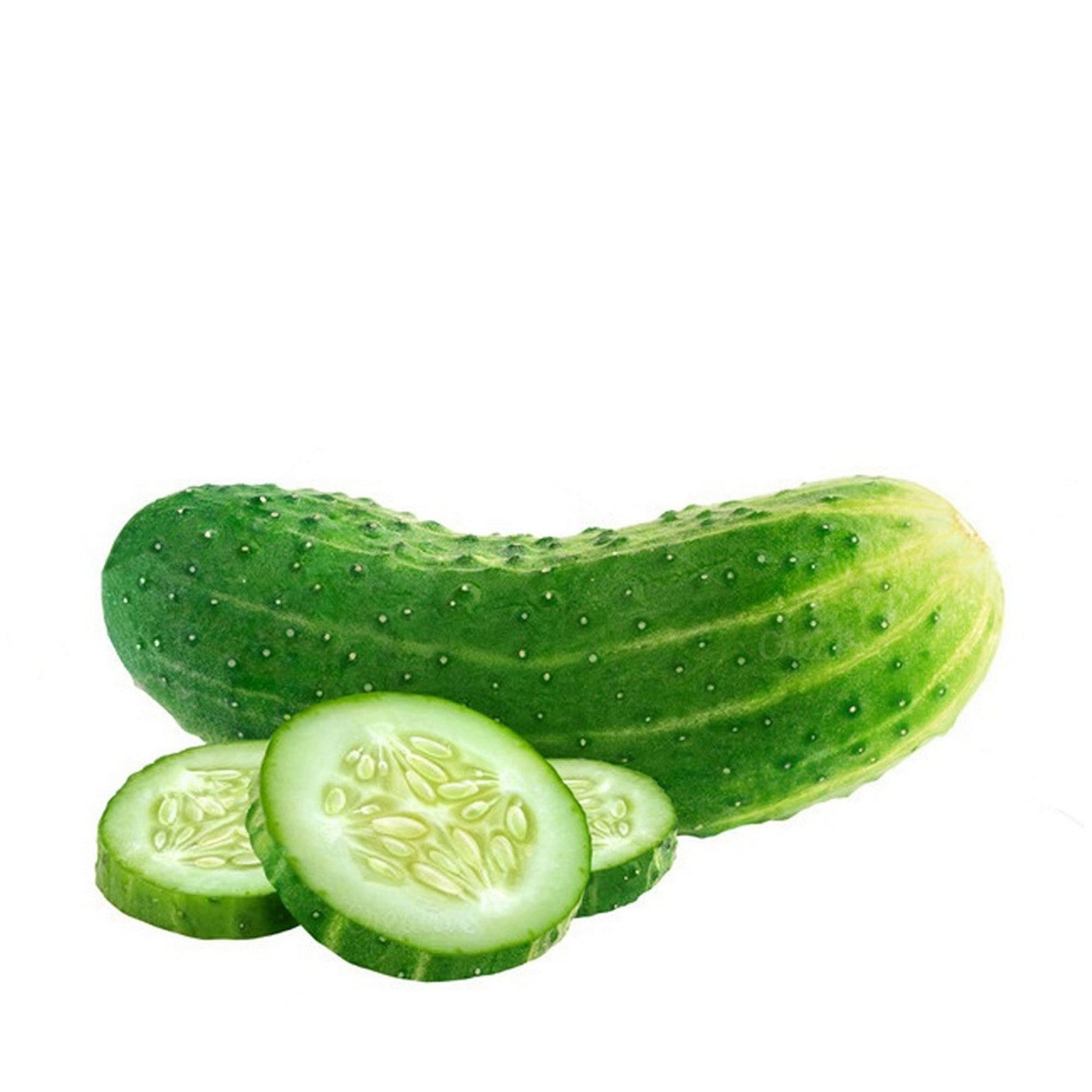 Shosha (Cucumber) ± 25 gm