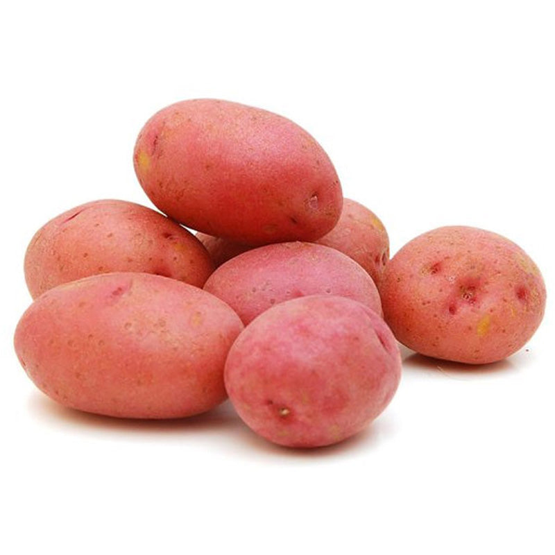 Red Potato Cardinal (Lal Alu) ± 50 gm