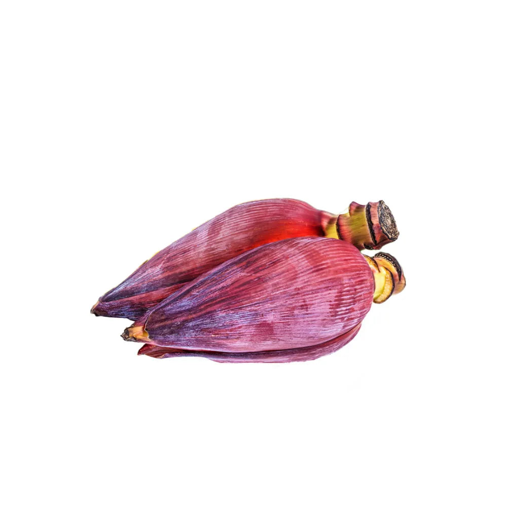 Banana Flower (Kolar Mocha)