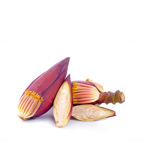 Banana Flower (Kolar Mocha)