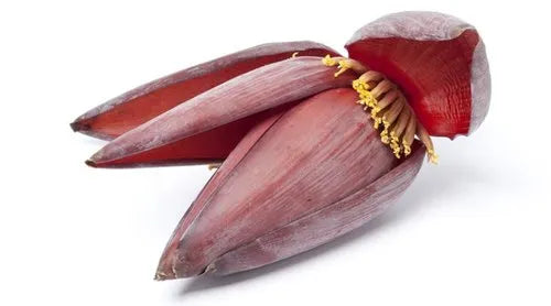 Banana Flower (Kolar Mocha)