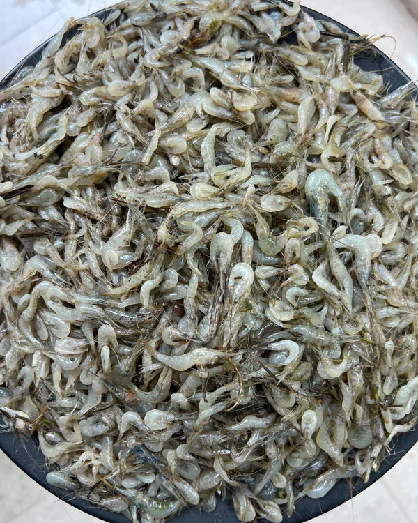 হাওড়ের ভর্তা চিংড়ি