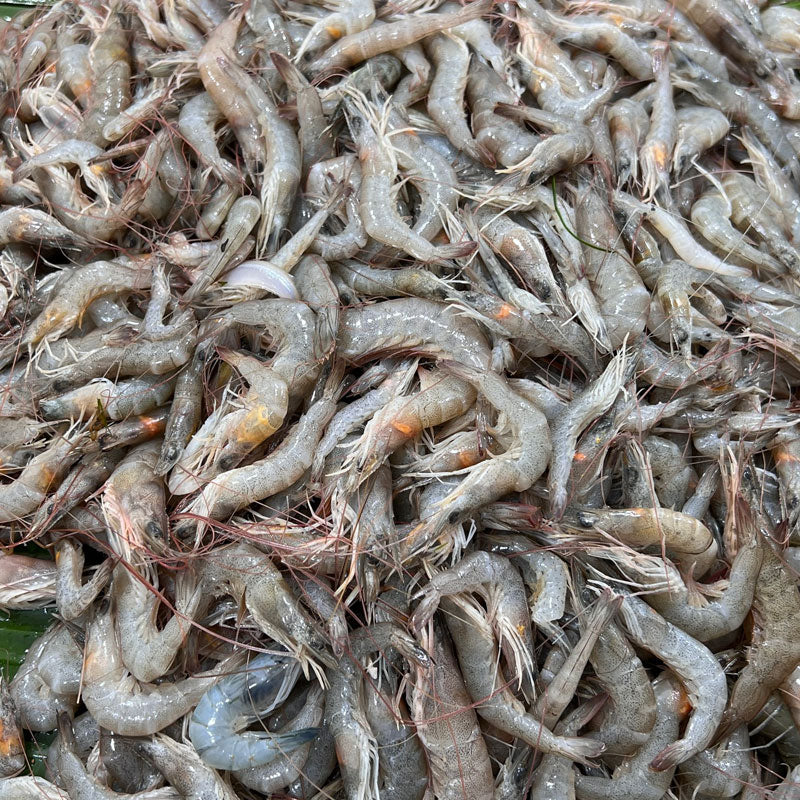 Horina Chingri (হরিণা চিংড়ি)