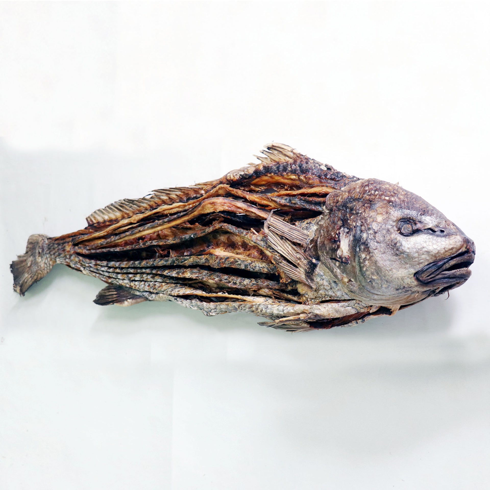Koral Dry Fish (কোরাল শুঁটকি)