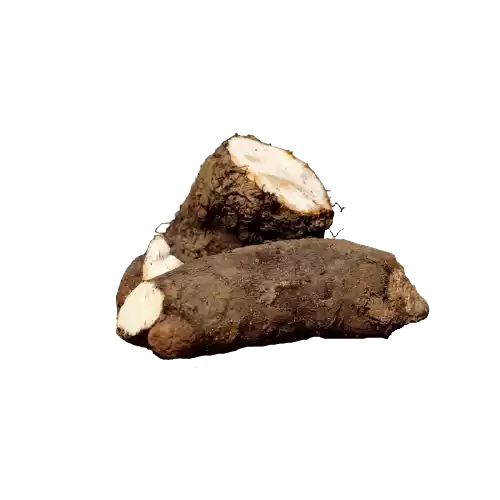 Mete Alu (Mud Potato) ± 25 gm