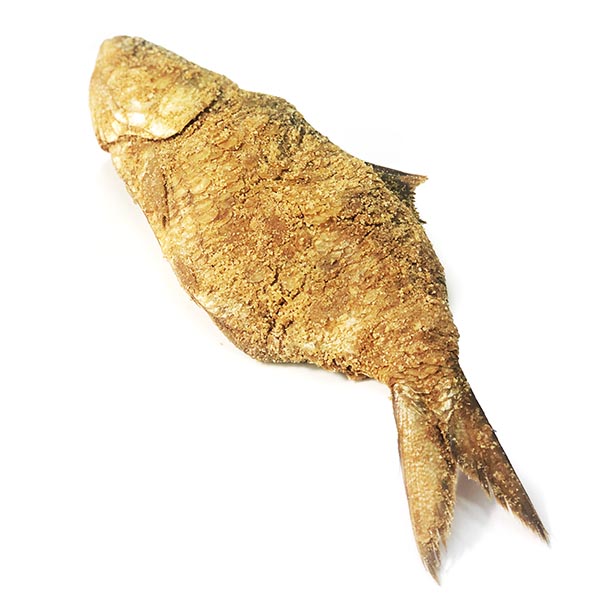 Nona Ilish (নোনা ইলিশ)