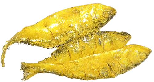 Nona Ilish (নোনা ইলিশ)
