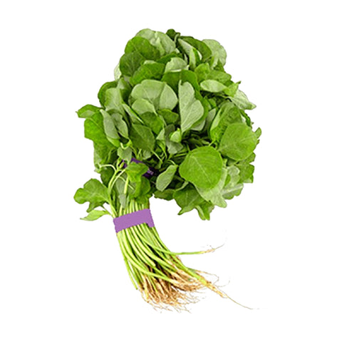 Data Shak (Data Spinach)