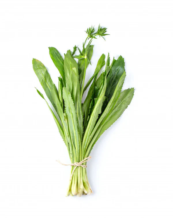 Long Coriander Leaves (Bilati Dhonia Pata) ± 10 gm