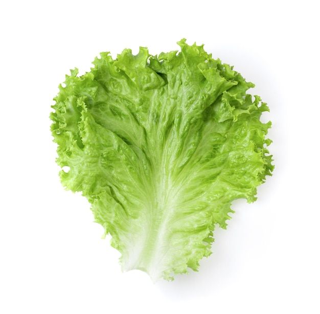 Lettuce Leaves ± 10 gm