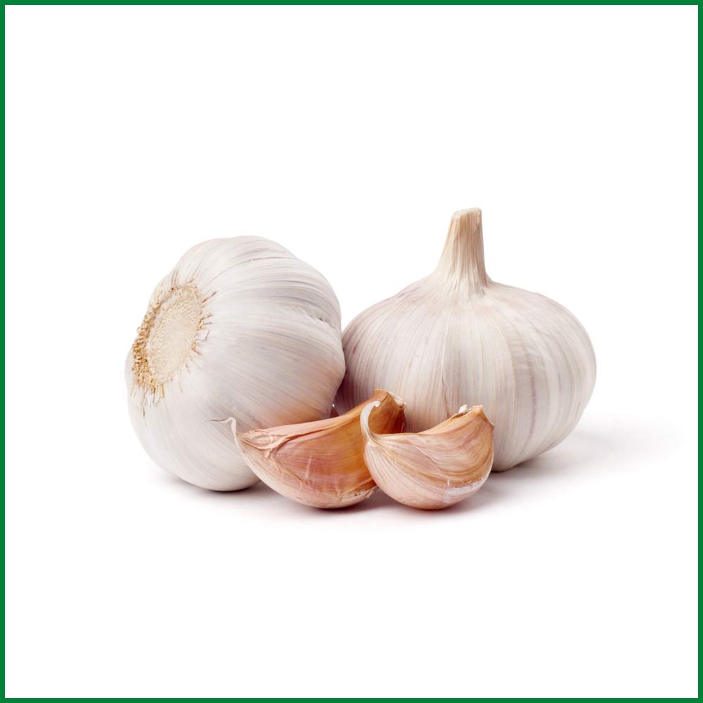 Roshun (Garlic Imported)