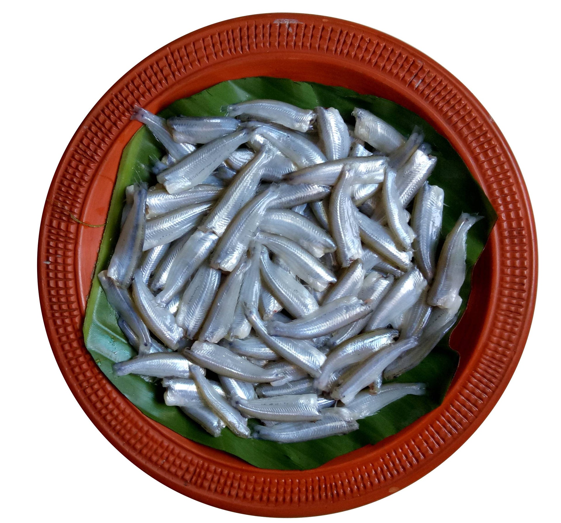 Batasi Mach (বাতাসি মাছ)