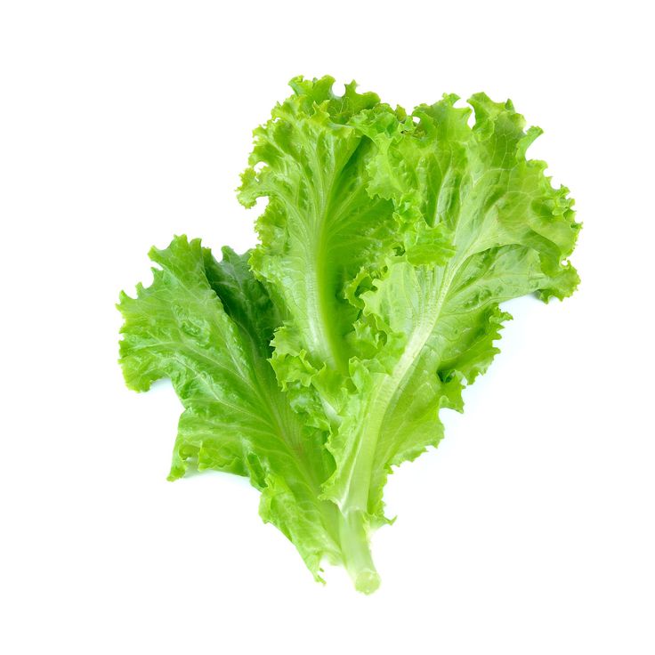 Lettuce Leaves ± 10 gm