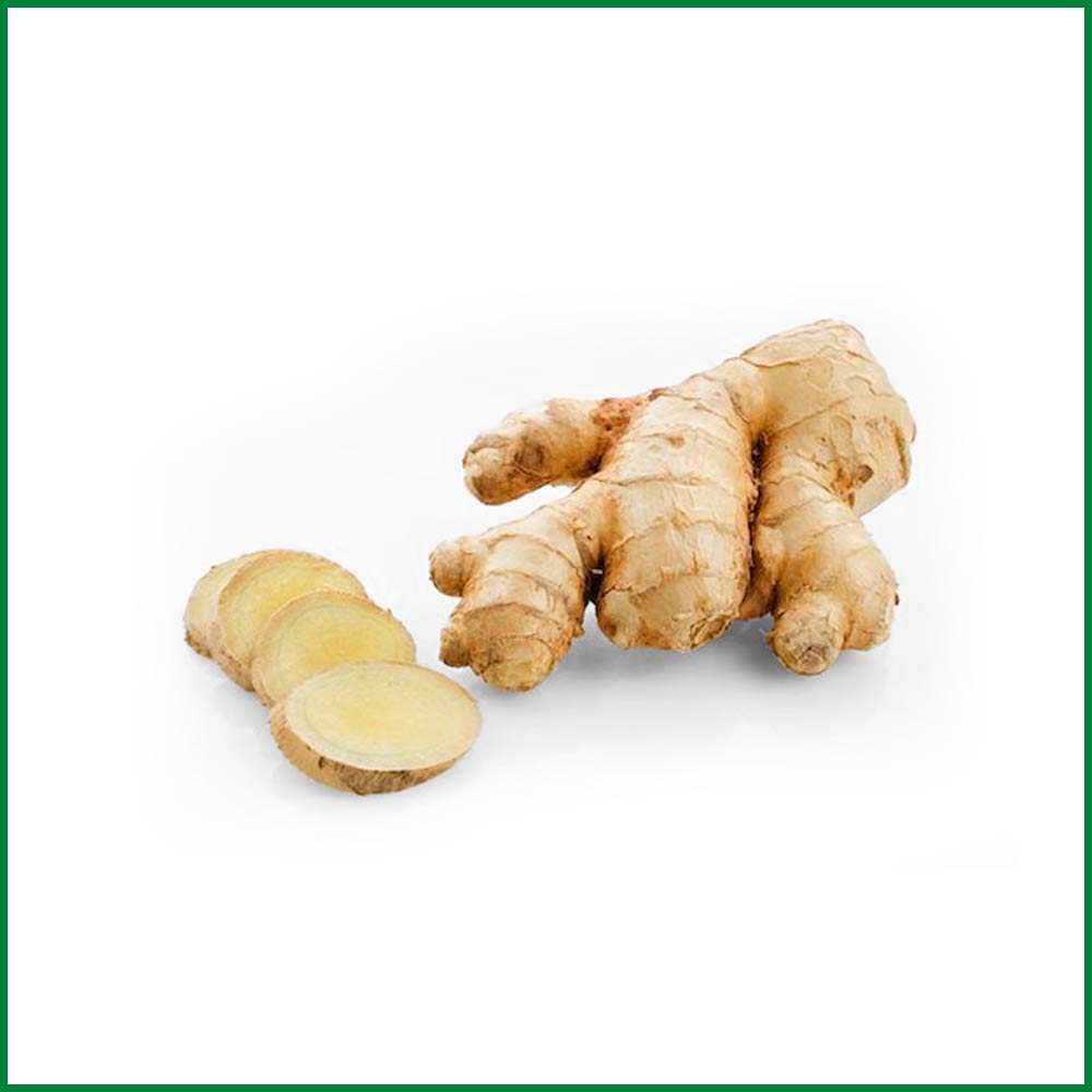 Thai Ada (Ginger Thai) ± 12 gm