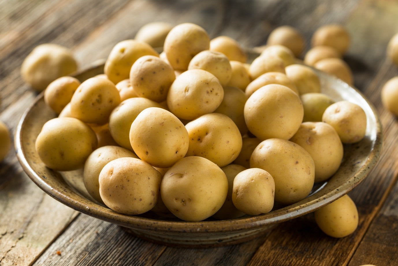 Baby Sized Potato (± 25 gm)