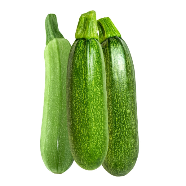 এফ১ স্কোয়াশ বীজ – F1 Squash Seeds