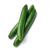 আরবিয়ান শসা বীজ – Arabian Cucumber Seeds (Hybrid)