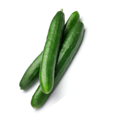আরবিয়ান শসা বীজ – Arabian Cucumber Seeds (Hybrid)
