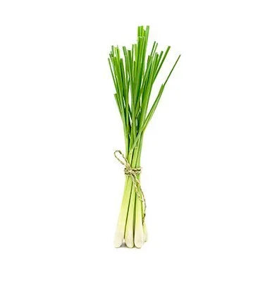 Lemon Grass Stalk ± 12 gm