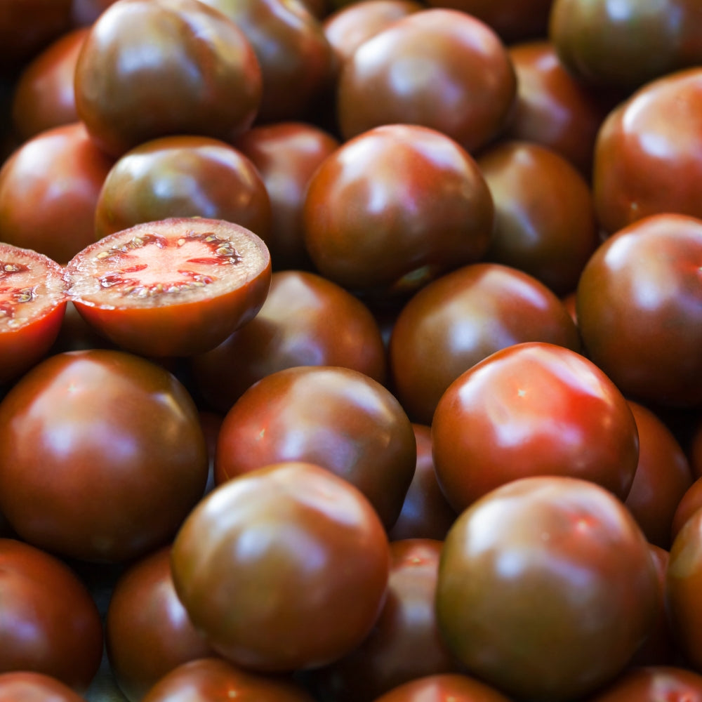 কালো টমেটো বীজ – Black Tomato Seed (হাইব্রিড)