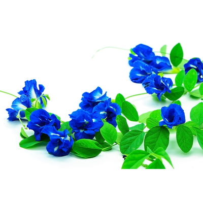 এফ১ অপরাজিতা মিক্সড - F1 Butterfly Pea Mixed seed