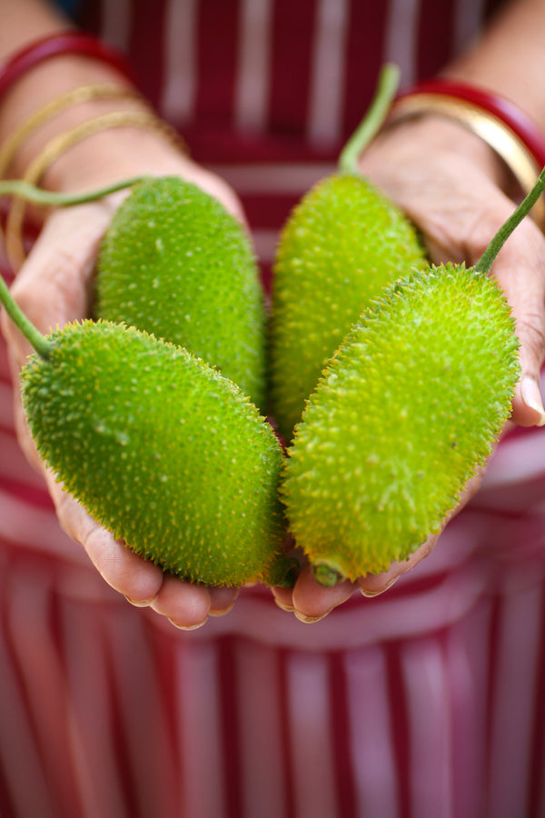Kakrol (Sweet Bitter Gourd) ±25 gm