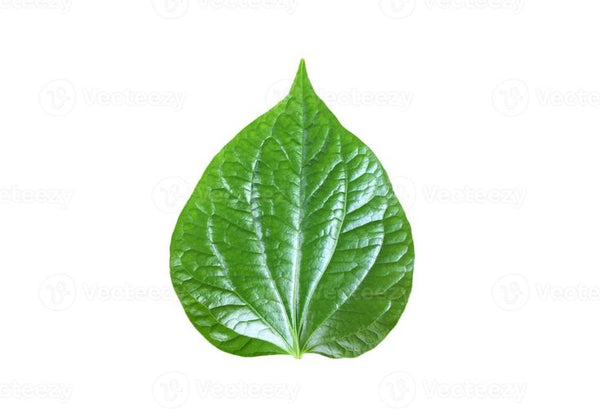 Paan (Betel Leaf) 20 pcs