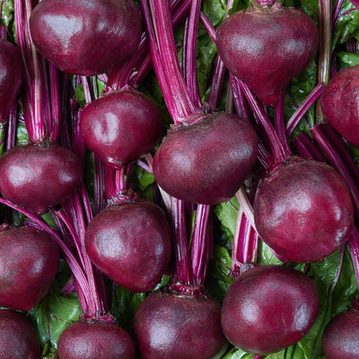 এফ১ হাইব্রিড বিট বীজ – F1 Hybrid Beetroot Seeds