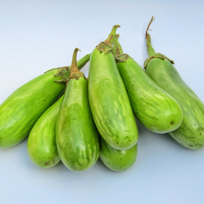 এফ১ হাইব্রিড বেগুন বীজ – F1 Hybrid Brinjal Seeds