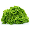 এফ১ হাইব্রিড লেটুস বীজ – F1 Hybrid Lettuce Seeds