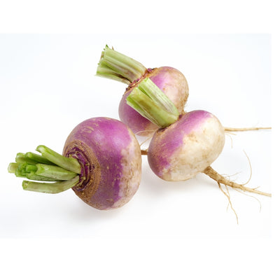 এফ১ হাইব্রিড শালগম বীজ – F1 Hybrid Turnip Seeds