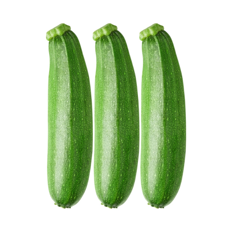 এফ১ স্কোয়াশ বীজ – F1 Squash Seeds