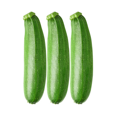 এফ১ স্কোয়াশ বীজ – F1 Squash Seeds