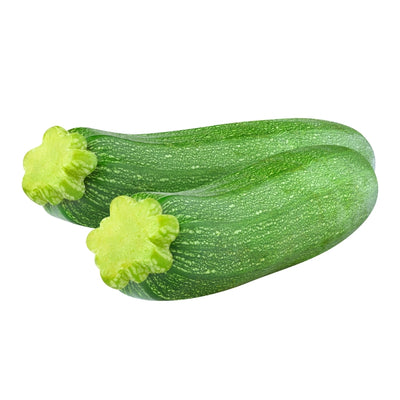 এফ১ স্কোয়াশ বীজ – F1 Squash Seeds