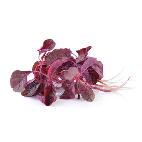 Lal Shak (Red Spinach)