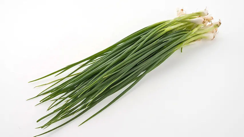 Peyaj Pata (Spring Onion) ± 12 gm