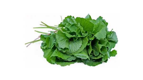 Thankuni Pata (Pennywort Leaves)
