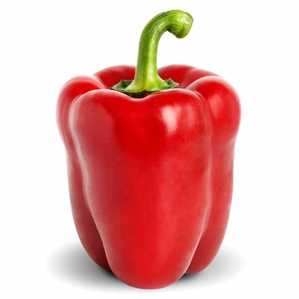 Red Capsicum ±12 gm
