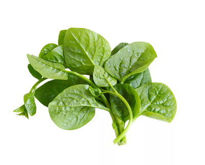 Pui Shak (Pui Spinach)
