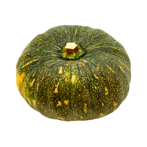 Misti Kumra (Sweet Pumpkin)