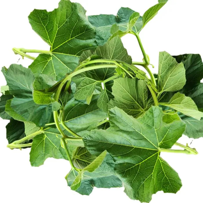 Lau Shak (Sweet Bitter Melon Leaves)