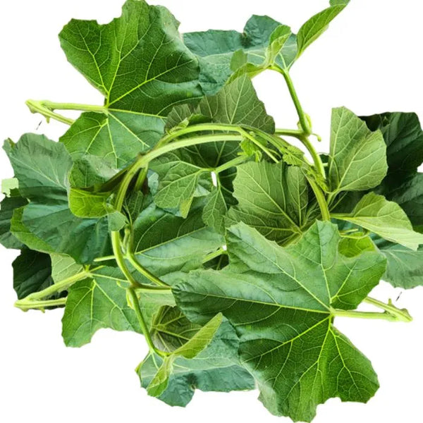 Lau Shak (Sweet Bitter Melon Leaves)