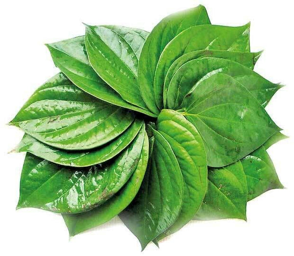 Paan (Betel Leaf) 20 pcs