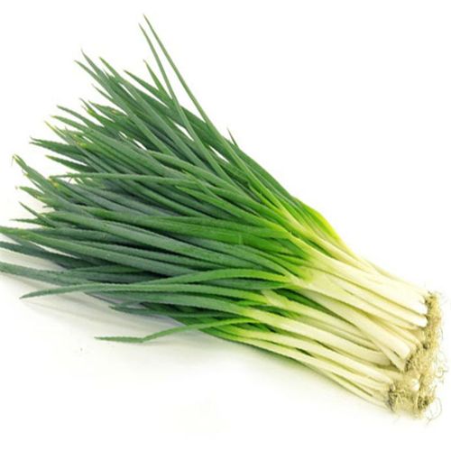 Peyaj Pata (Spring Onion) ± 12 gm